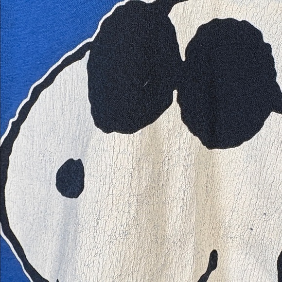 ARTEX Vintage Snoopy Rams Blue Graphic Short Sleeve Tee Shirt 1971 size XL - Picture 4 of 10